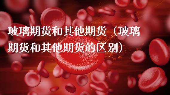 玻璃期货和其他期货（玻璃期货和其他期货的区别）