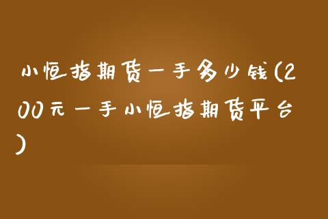 小恒指期货一手多少钱(200元一手小恒指期货平台)