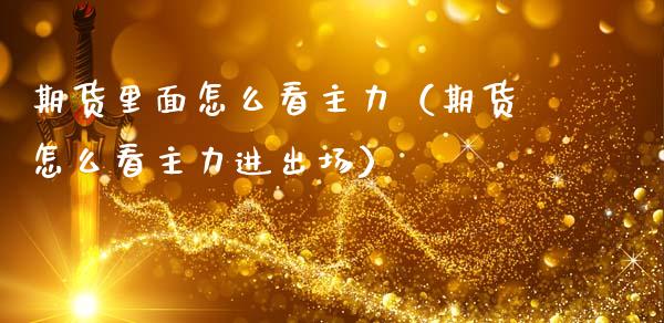 期货里面怎么看主力（期货怎么看主力进出场）