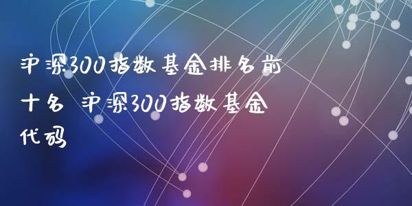 沪深300指数基金排名前十名 沪深300指数基金代码
