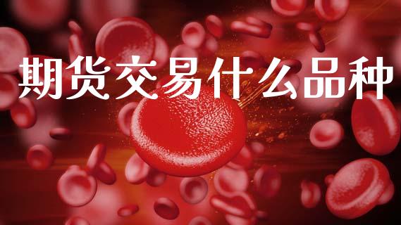 期货交易什么品种