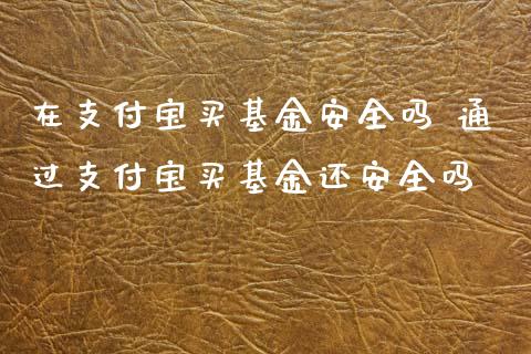 在支付宝买基金安全吗 通过支付宝买基金还安全吗