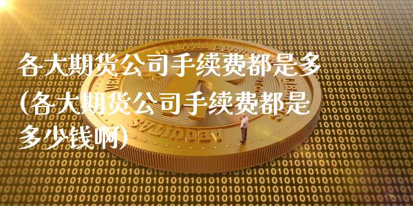 各大期货公司手续费都是多(各大期货公司手续费都是多少钱啊)
