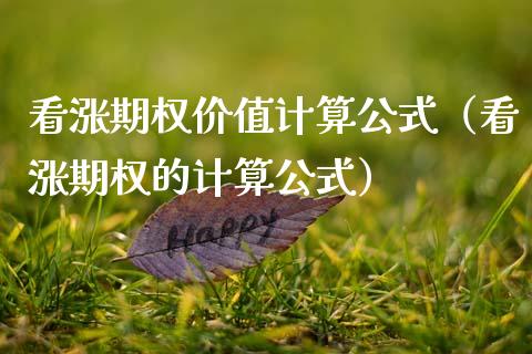 看涨期权价值计算公式（看涨期权的计算公式）