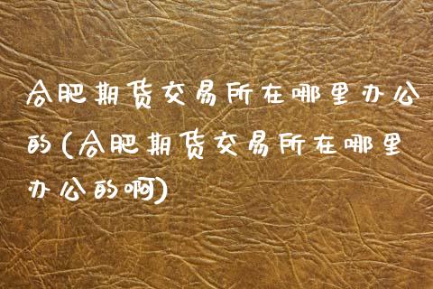 合肥期货交易所在哪里办公的(合肥期货交易所在哪里办公的啊)