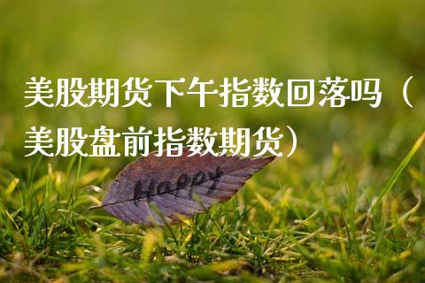 美股期货下午指数回落吗（美股盘前指数期货）