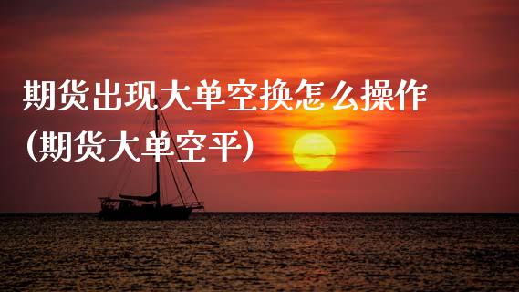 期货出现大单空换怎么操作(期货大单空平)