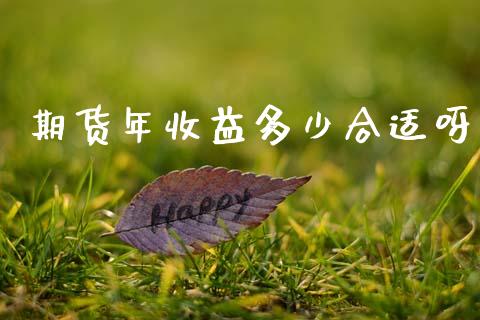 期货年收益多少合适呀