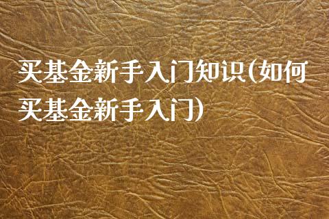 买基金新手入门知识(如何买基金新手入门)