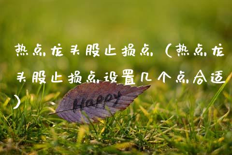 热点龙头股止损点（热点龙头股止损点设置几个点合适）