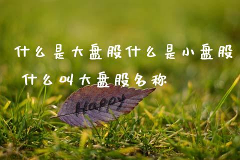 什么是大盘股什么是小盘股 什么叫大盘股名称