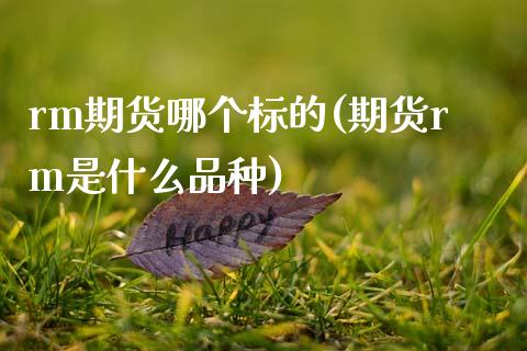 rm期货哪个标的(期货rm是什么品种)
