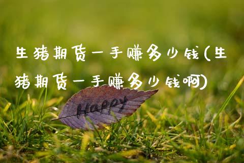 生猪期货一手赚多少钱(生猪期货一手赚多少钱啊)