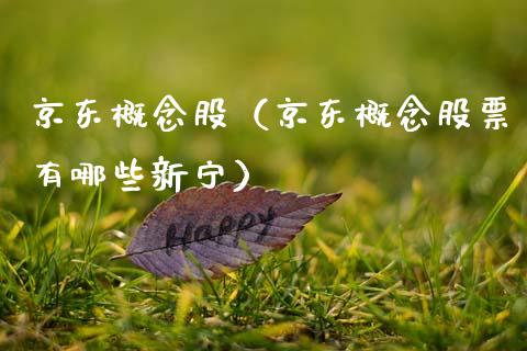 京东概念股（京东概念股票有哪些新宁）