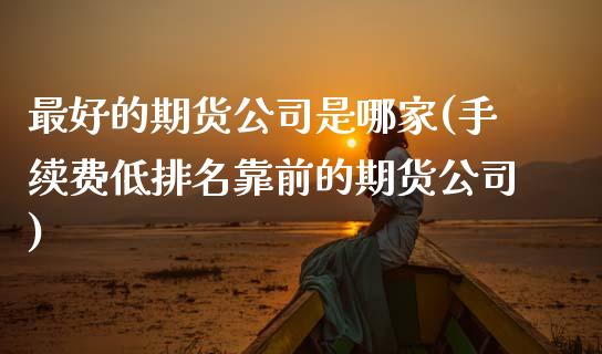 最好的期货公司是哪家(手续费低排名靠前的期货公司)