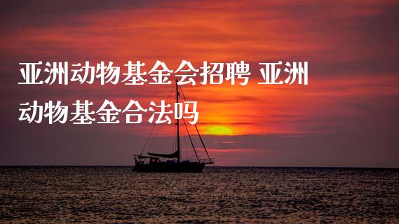 亚洲动物基金会招聘 亚洲动物基金合法吗