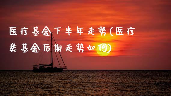 医疗基金下半年走势(医疗类基金后期走势如何)