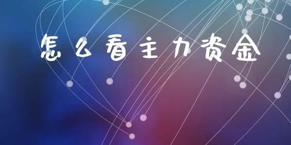 怎么看主力资金