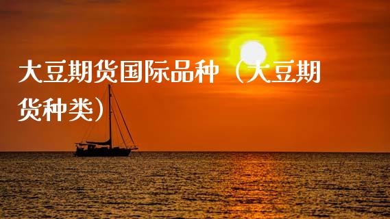 大豆期货国际品种（大豆期货种类）