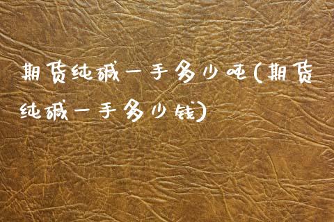 期货纯碱一手多少吨(期货纯碱一手多少钱)