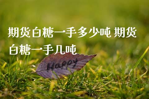 期货白糖一手多少吨 期货白糖一手几吨