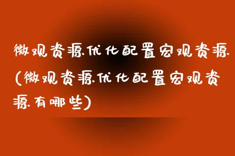 微观资源优化配置宏观资源(微观资源优化配置宏观资源有哪些)