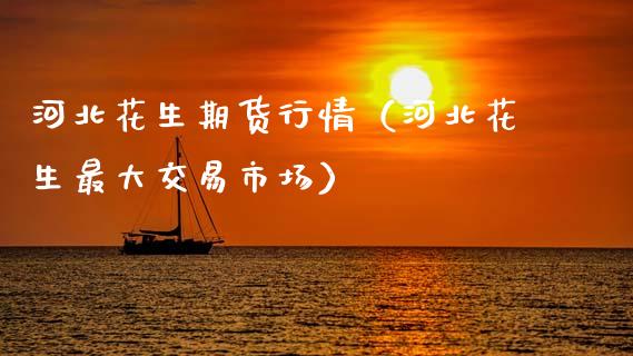 河北花生期货行情（河北花生最大交易市场）