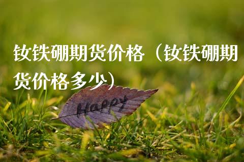 钕铁硼期货价格（钕铁硼期货价格多少）
