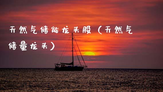天然气储能龙头股（天然气储量龙头）