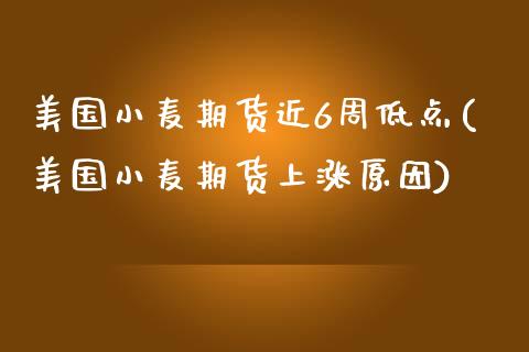美国小麦期货近6周低点(美国小麦期货上涨原因)