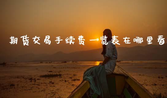 期货交易手续费一览表在哪里看