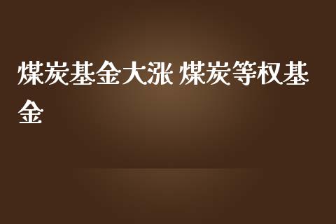 煤炭基金大涨 煤炭等权基金