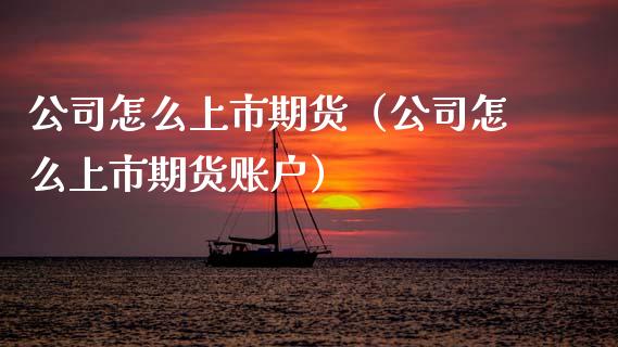 公司怎么上市期货（公司怎么上市期货账户）