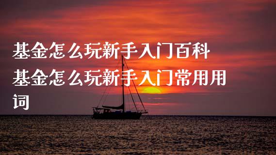 基金怎么玩新手入门百科 基金怎么玩新手入门常用用词