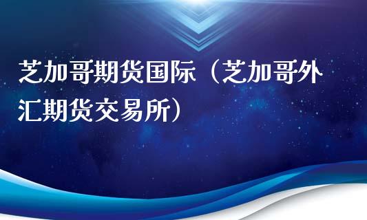 芝加哥期货国际（芝加哥外汇期货交易所）