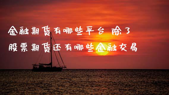 金融期货有哪些平台 除了股票期货还有哪些金融交易