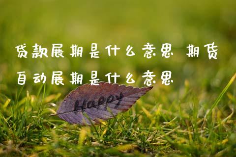 贷款展期是什么意思 期货自动展期是什么意思