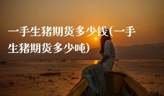 一手生猪期货多少钱(一手生猪期货多少吨)
