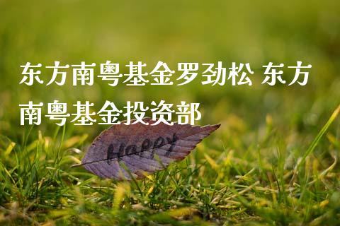 东方南粤基金罗劲松 东方南粤基资部