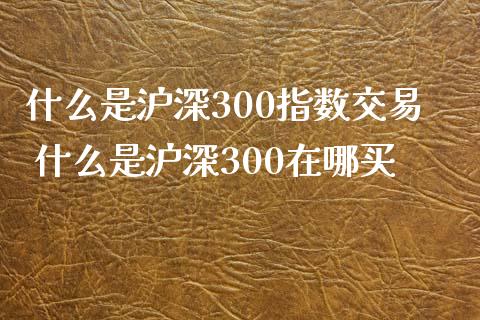 什么是沪深300指数交易 什么是沪深300在哪买_https://www.dglong8.com_期货理财_第1张