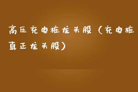 高压充电桩龙头股（充电桩真正龙头股）_https://www.dglong8.com_财经要闻_第1张