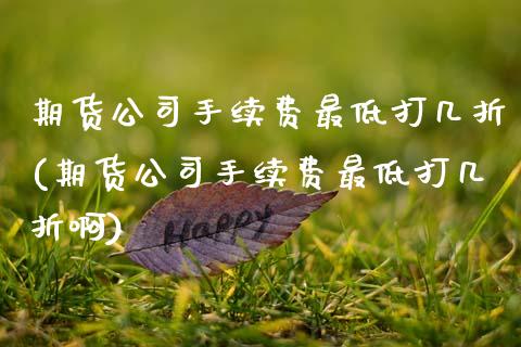 期货公司手续费最低打几折(期货公司手续费最低打几折啊)
