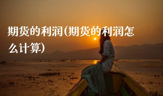 期货的利润(期货的利润怎么计算)