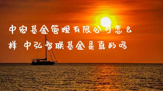 中宏基金管理有限公司怎么样 中弘智联基金是真的吗