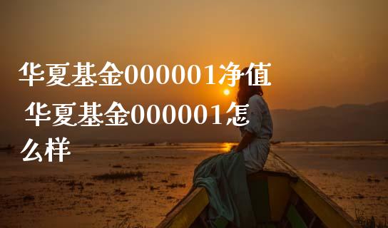 华夏基金000001净值 华夏基金000001怎么样