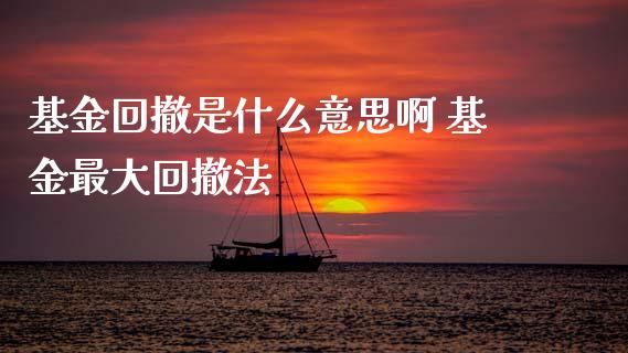 基金回撤是什么意思啊 基金最大回撤法