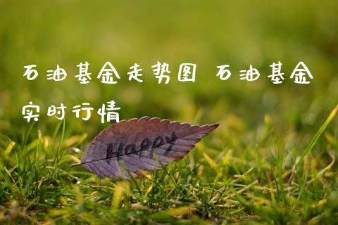 石油基金走势图 石油基金实时行情