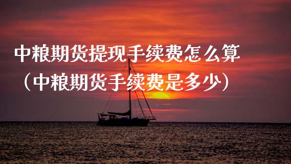 期货提现手续费怎么算（期货手续费是多少）