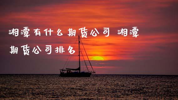 湘潭有什么期货公司 湘潭期货公司排名