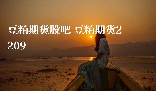 豆粕期货股吧 豆粕期货2209